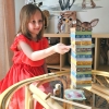 TOOKY TOY Gra Zręcznościowa 