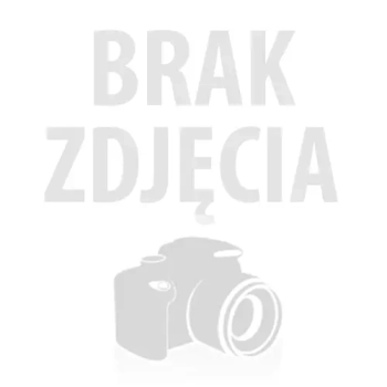 WOOPIE Stolik Wodny 2w1 Piaskownica Plac Budowy + 4 Autka 12el.